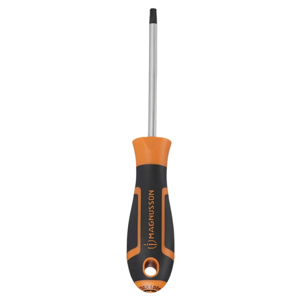 Tournevis tête Torx T30 Magnusson bout magnétique lame longueur 100 mm