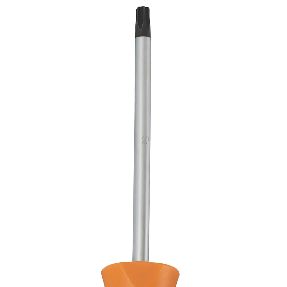Tournevis tête Torx T30 Magnusson bout magnétique lame longueur 100 mm
