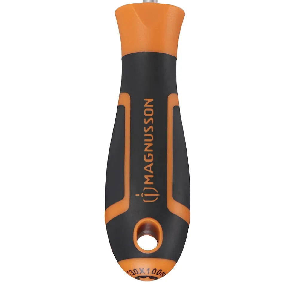 Tournevis tête Torx T30 Magnusson bout magnétique lame longueur 100 mm