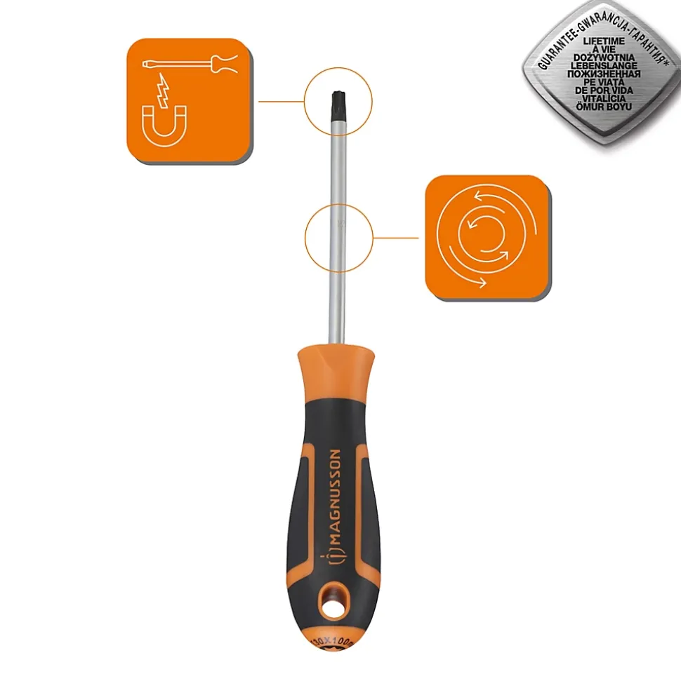 Tournevis tête Torx T30 Magnusson bout magnétique lame longueur 100 mm