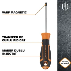 Tournevis tête Torx T30 Magnusson bout magnétique lame longueur 100 mm
