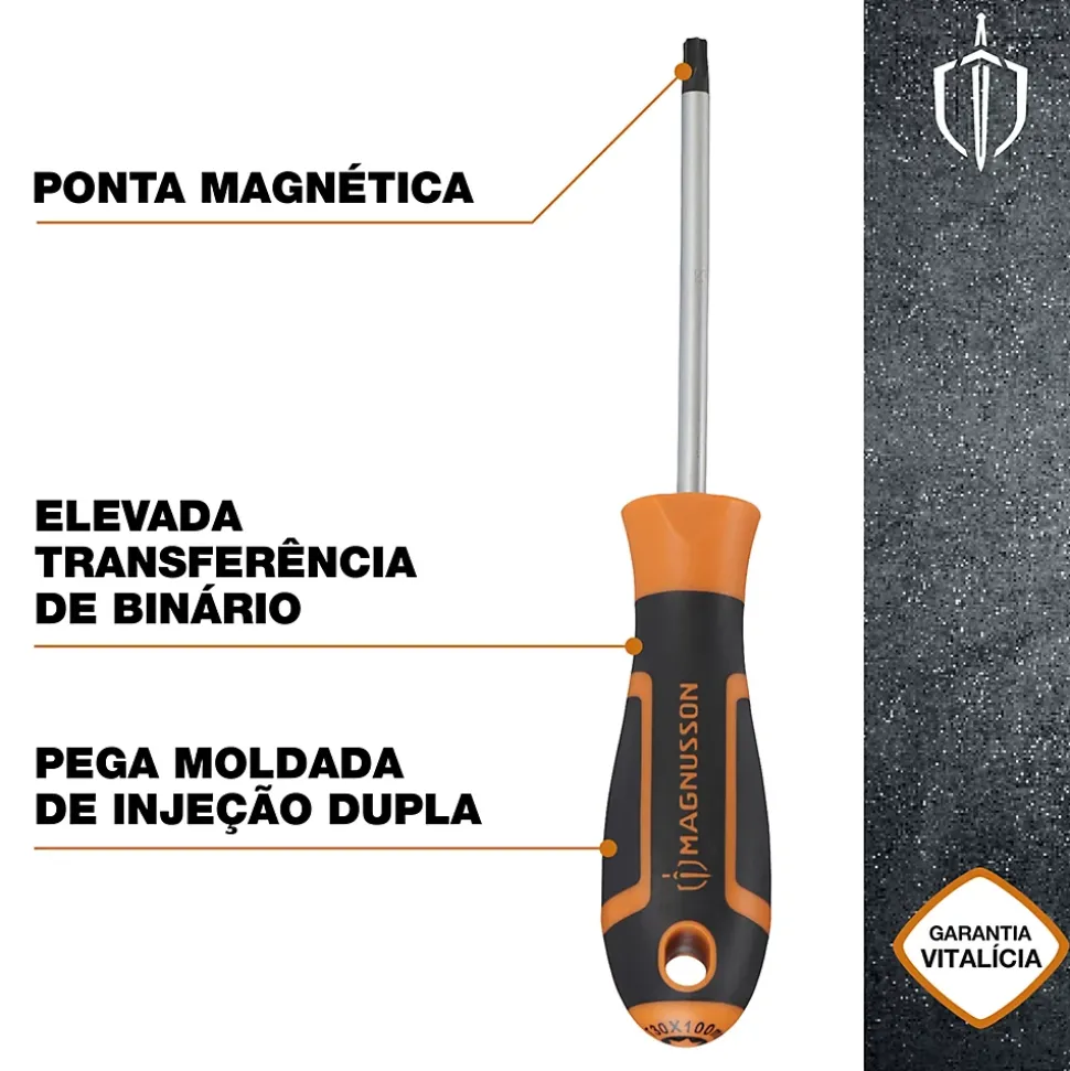 Tournevis tête Torx T30 Magnusson bout magnétique lame longueur 100 mm