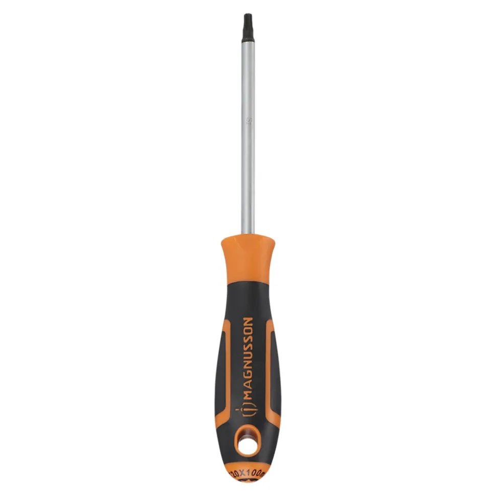 Tournevis tête Torx T20 Magnusson bout magnétique lame longueur 100 mm
