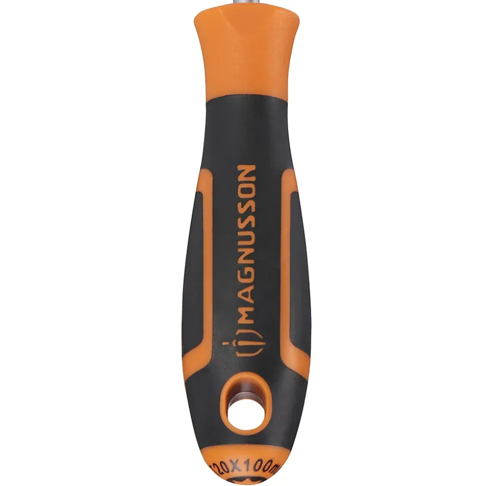 Tournevis tête Torx T20 Magnusson bout magnétique lame longueur 100 mm