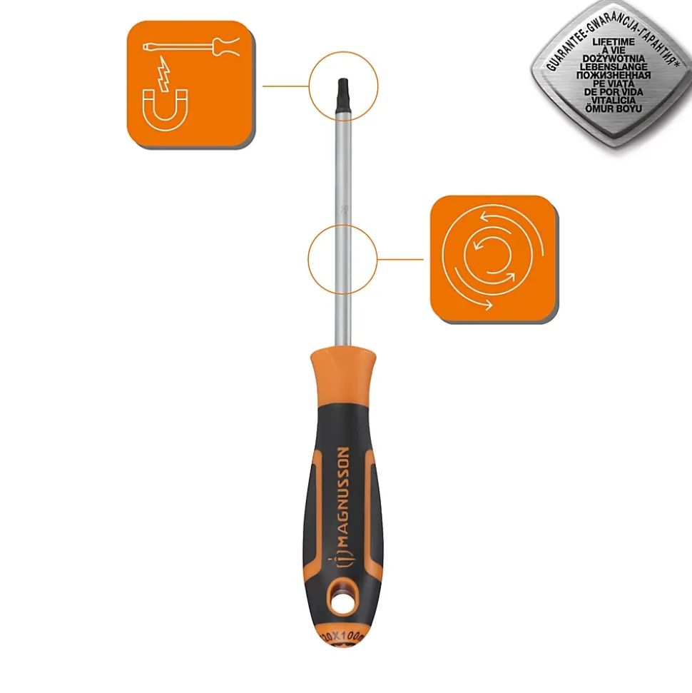Tournevis tête Torx T20 Magnusson bout magnétique lame longueur 100 mm