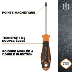 Tournevis tête Torx T20 Magnusson bout magnétique lame longueur 100 mm