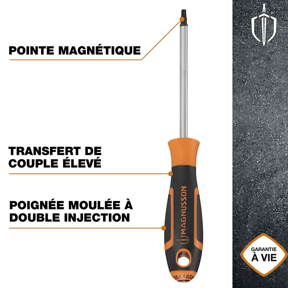 Tournevis tête Torx T20 Magnusson bout magnétique lame longueur 100 mm