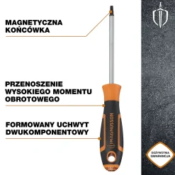 Tournevis tête Torx T20 Magnusson bout magnétique lame longueur 100 mm