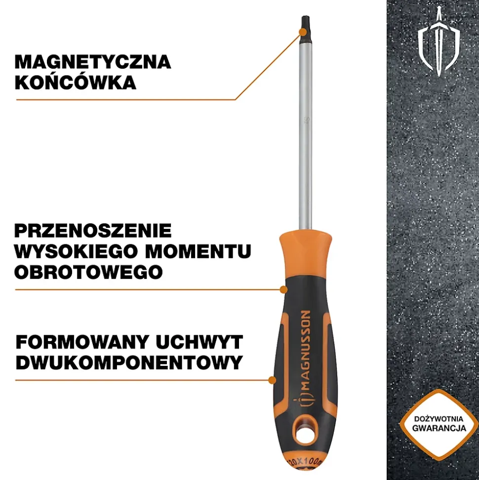 Tournevis tête Torx T20 Magnusson bout magnétique lame longueur 100 mm