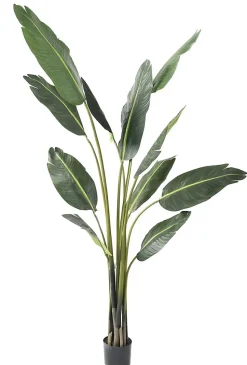Travellers Palm tree artificiel h.195 cm