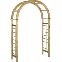vidaXL Arche avec treillis Bois de pin vert imprégné