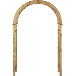vidaXL Arche avec treillis Bois de pin vert imprégné