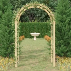 vidaXL Arche 141x97x243 cm Bois de pin massif imprégné
