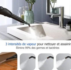 2000W Nettoyeur Vapeur Electrique Pression 4 Bar Volume de Vapeur Reglable avec Verrouillage Enfant Canape Tapis Bleu